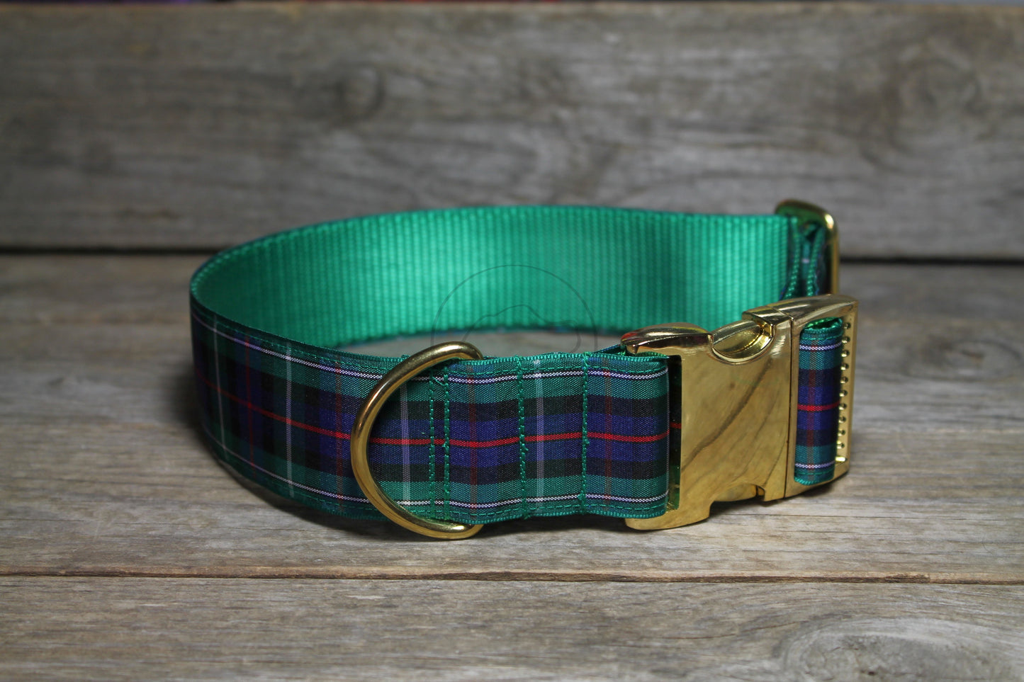 MacKenzie Clan tartan - dog collar