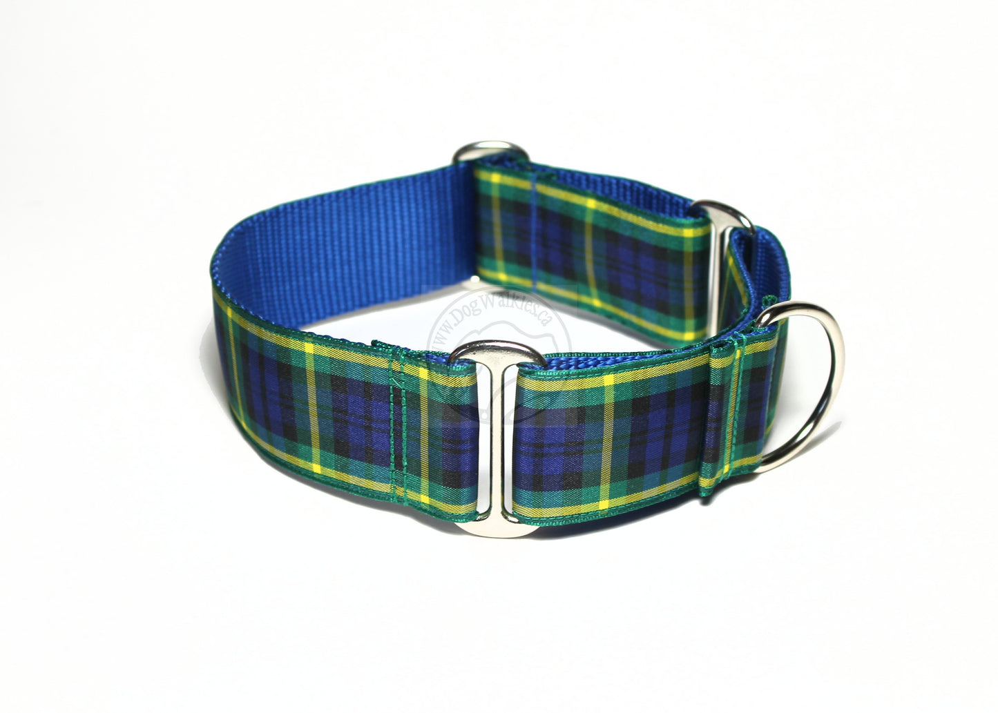 Gordon clan tartan - dog collar