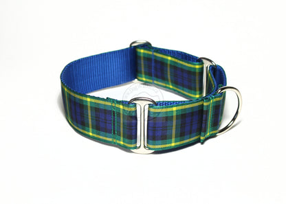 Gordon clan tartan - dog collar