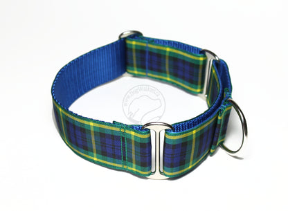 Gordon clan tartan - dog collar