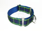 Gordon clan tartan - dog collar
