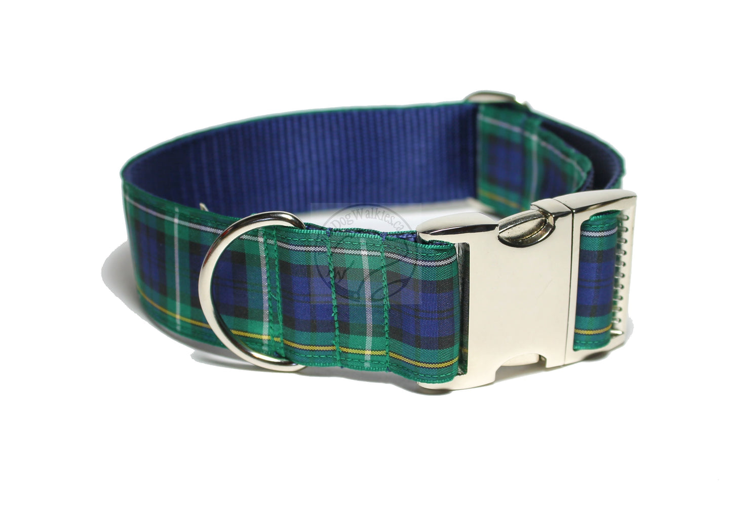 Campbell clan tartan - dog collar
