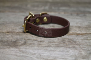 Dark Chocolate Brown Biothane Small Dog Collar - 1/2" (12mm) wide