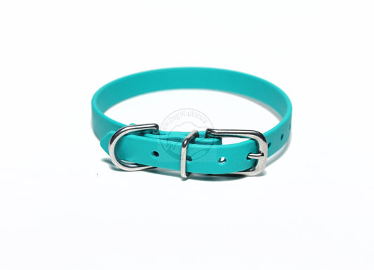 Teal Biothane Small Dog Collar - 1/2" (12mm) wide