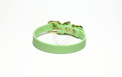 Discontinued- Limited Pastel Mint Green Biothane Small Dog Collar - 1/2" (12mm) wide