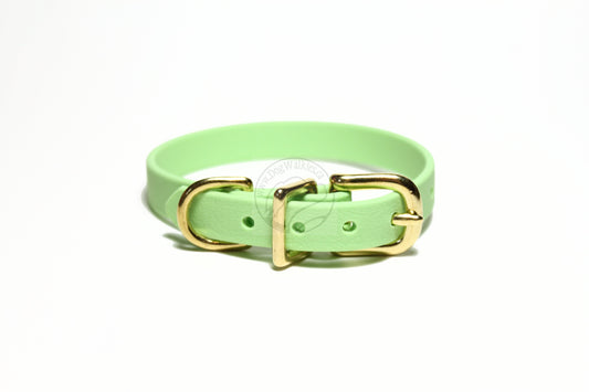 Discontinued- Limited Pastel Mint Green Biothane Small Dog Collar - 1/2" (12mm) wide