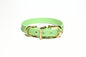 Discontinued- Limited Pastel Mint Green Biothane Small Dog Collar - 1/2" (12mm) wide