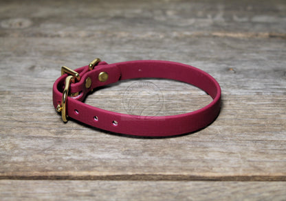 Wine Merlot Biothane Small Dog Collar - 1/2" (12mm) wide