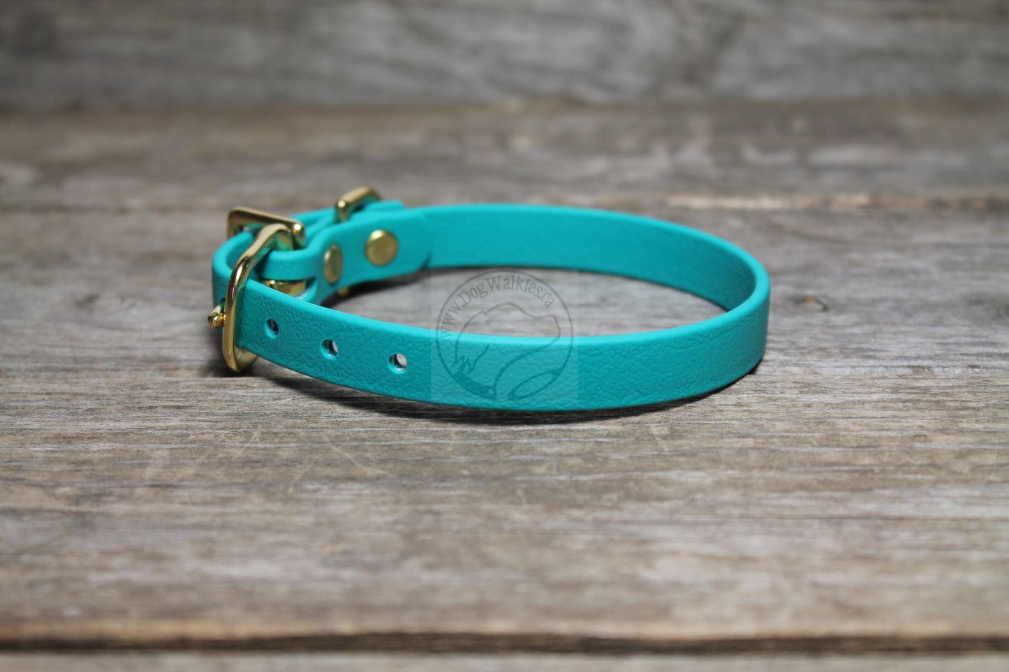 Teal Biothane Small Dog Collar - 1/2" (12mm) wide