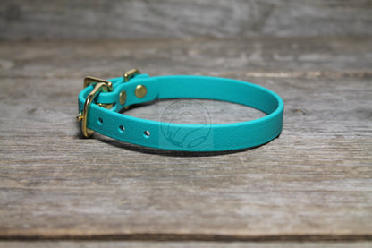 Teal Biothane Small Dog Collar - 1/2" (12mm) wide