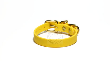 Sunflower Yellow Biothane Small Dog Collar - 1/2" (12mm) wide