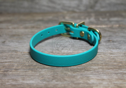 Teal Biothane Small Dog Collar - 1/2" (12mm) wide