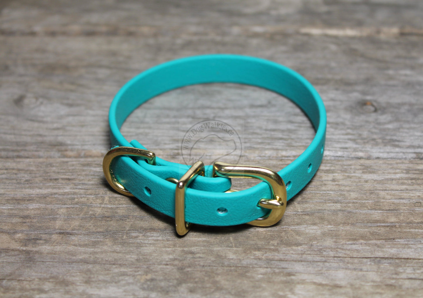 Teal Biothane Small Dog Collar - 1/2" (12mm) wide