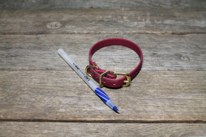 Wine Merlot Biothane Small Dog Collar - 1/2" (12mm) wide