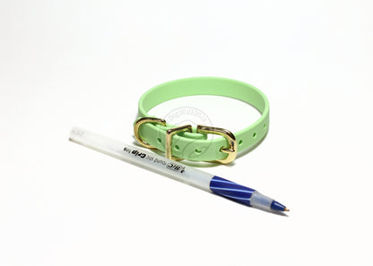 Discontinued- Limited Pastel Mint Green Biothane Small Dog Collar - 1/2" (12mm) wide