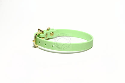Discontinued- Limited Pastel Mint Green Biothane Small Dog Collar - 1/2" (12mm) wide