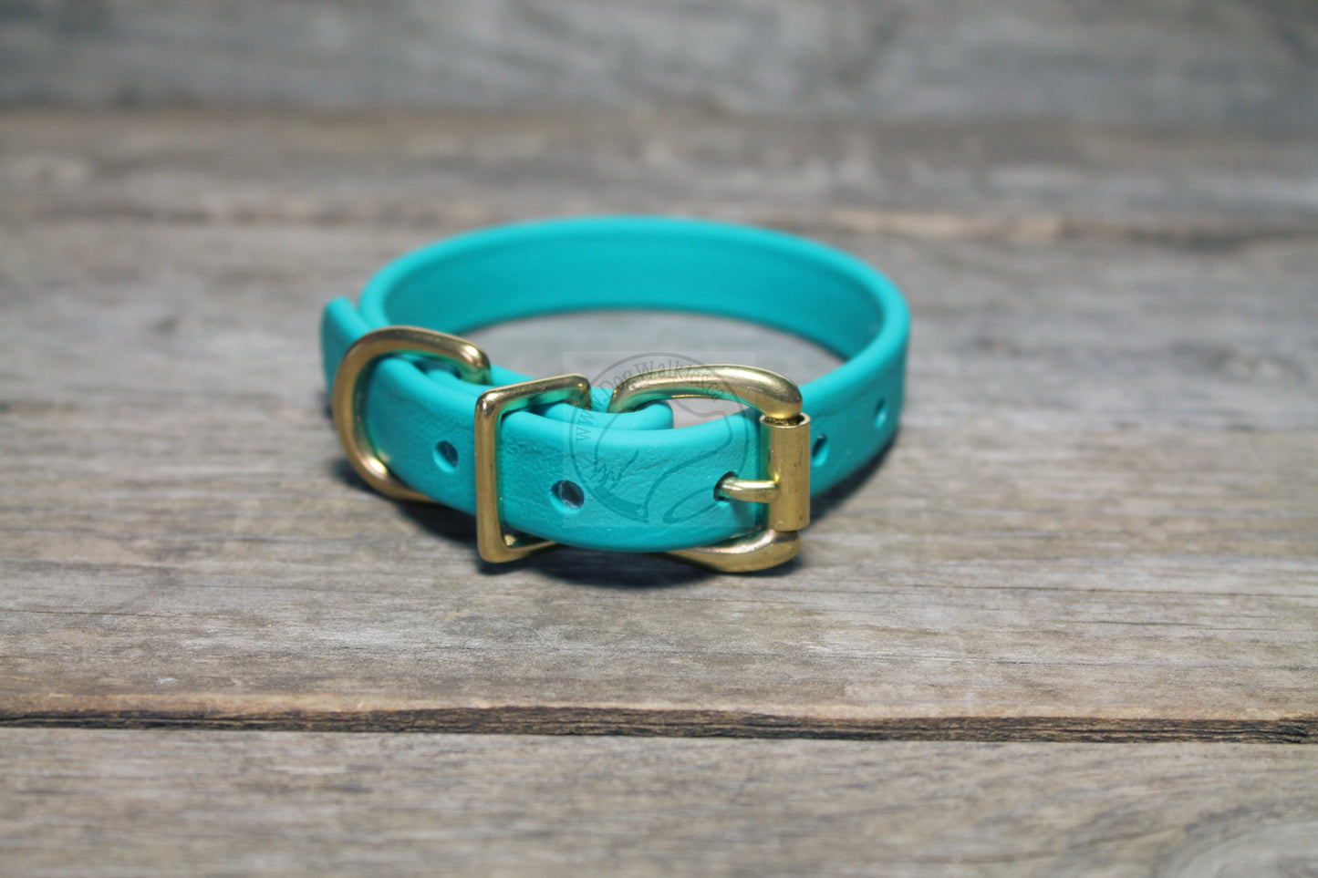 Teal Biothane Dog Collar - 5/8"(16mm) wide