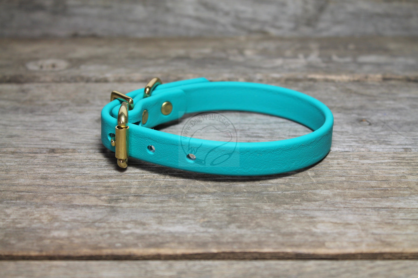 Teal Biothane Dog Collar - 5/8"(16mm) wide