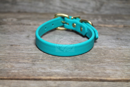 Teal Biothane Dog Collar - 5/8"(16mm) wide