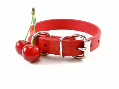 Poppy Red Biothane Dog Collar - 3/4" (20mm) wide