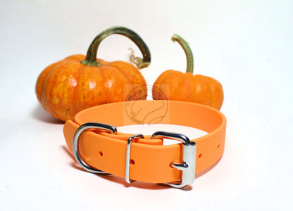 Bright Pumpkin Orange Biothane Dog Collar - 1 inch (25mm) wide