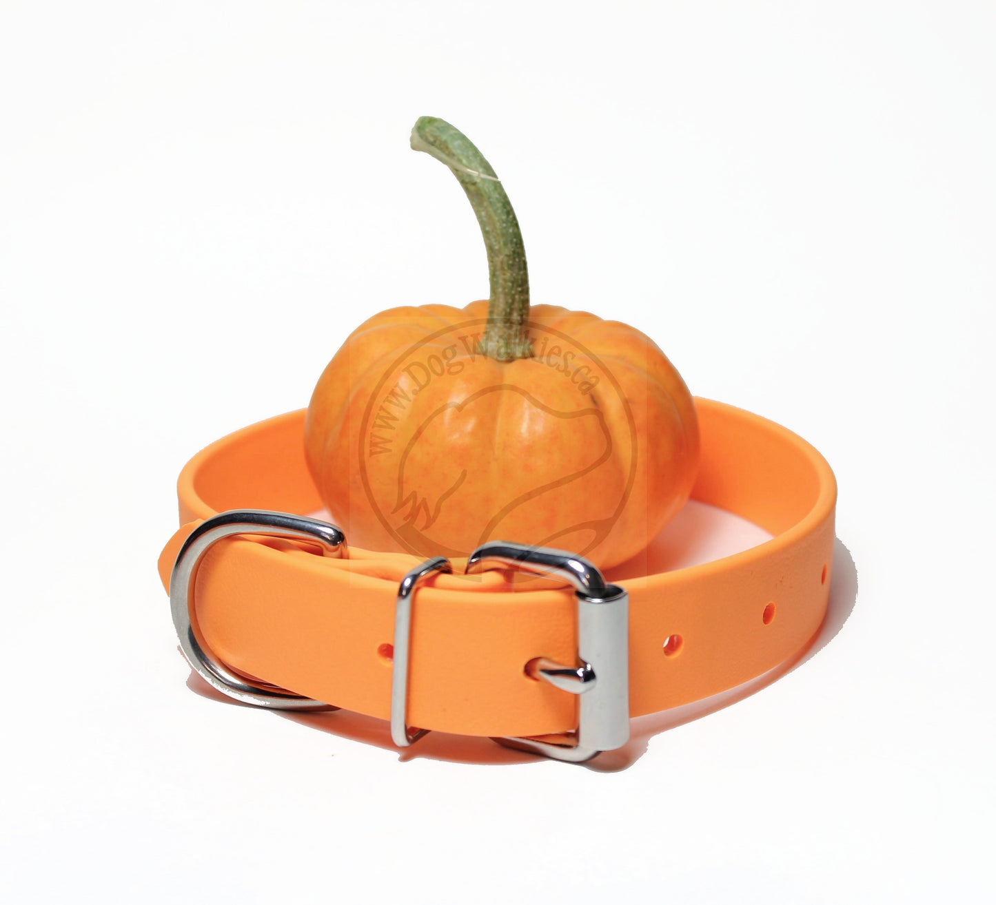 Bright Pumpkin Orange Biothane Dog Collar - 1 inch (25mm) wide