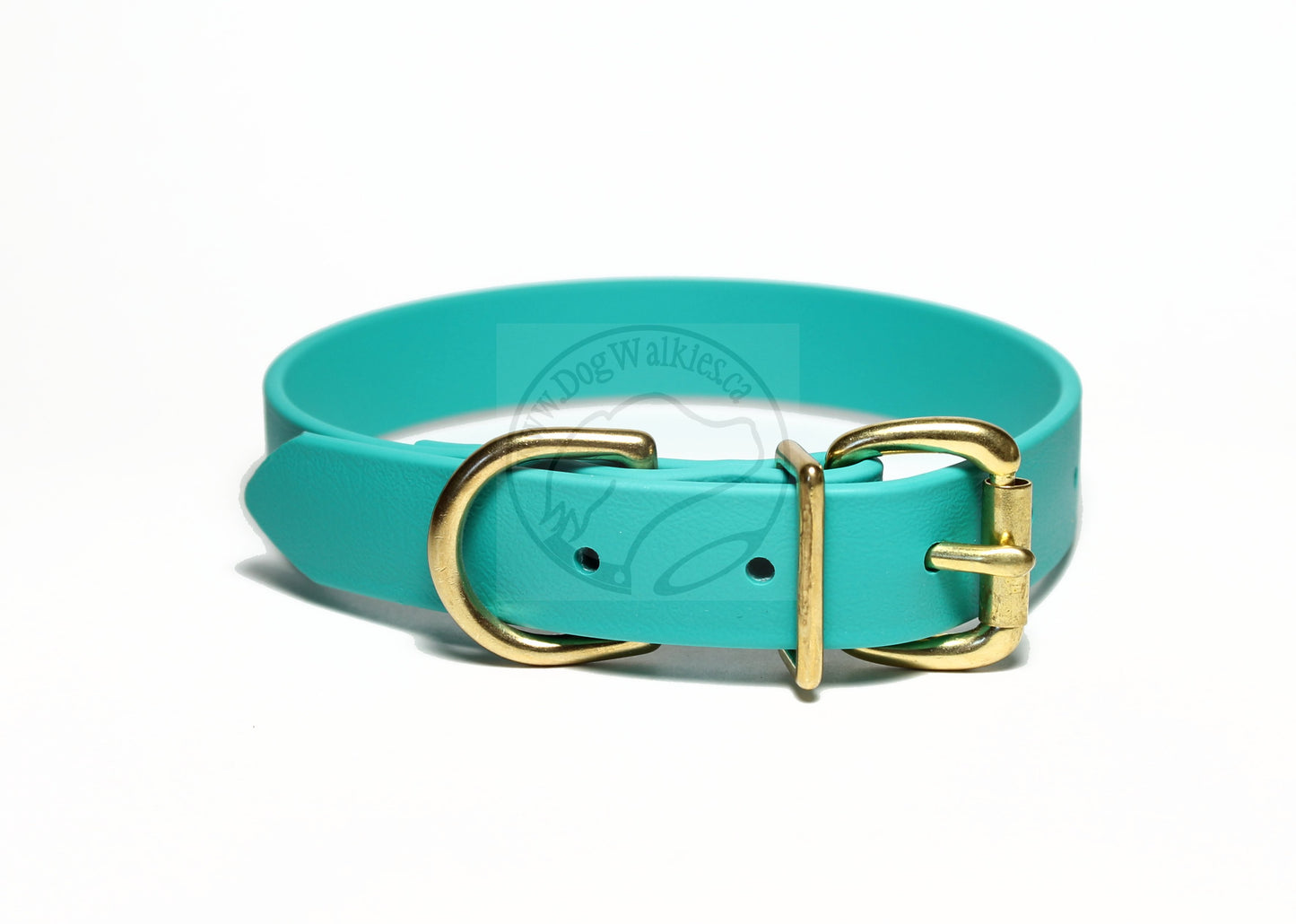 Teal Biothane Dog Collar - 1 inch (25mm) wide