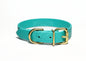 Teal Biothane Dog Collar - 1 inch (25mm) wide