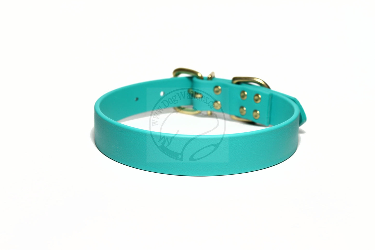 Teal Biothane Dog Collar - 1 inch (25mm) wide