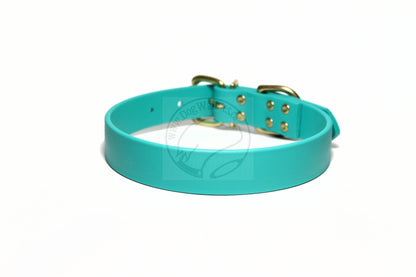 Teal Biothane Dog Collar - 1 inch (25mm) wide