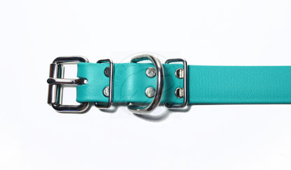 Teal Biothane Dog Collar - 1 inch (25mm) wide