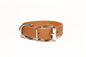 Caramel Brown Biothane Dog Collar - 1 inch (25mm) wide