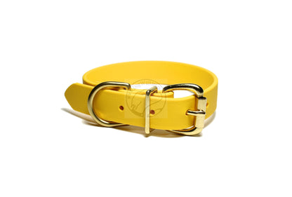 Sunflower Yellow Biothane Dog Collar - 1 inch (25mm) wide