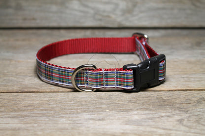 Stewart Clan Dress tartan - dog collar