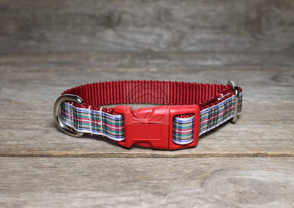 Stewart Clan Dress tartan - dog collar
