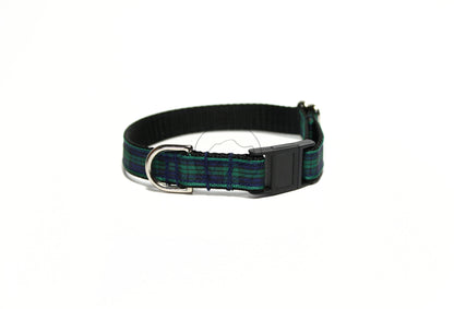 Blackwatch green edge clan tartan - dog collar