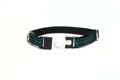 Blackwatch green edge clan tartan - dog collar