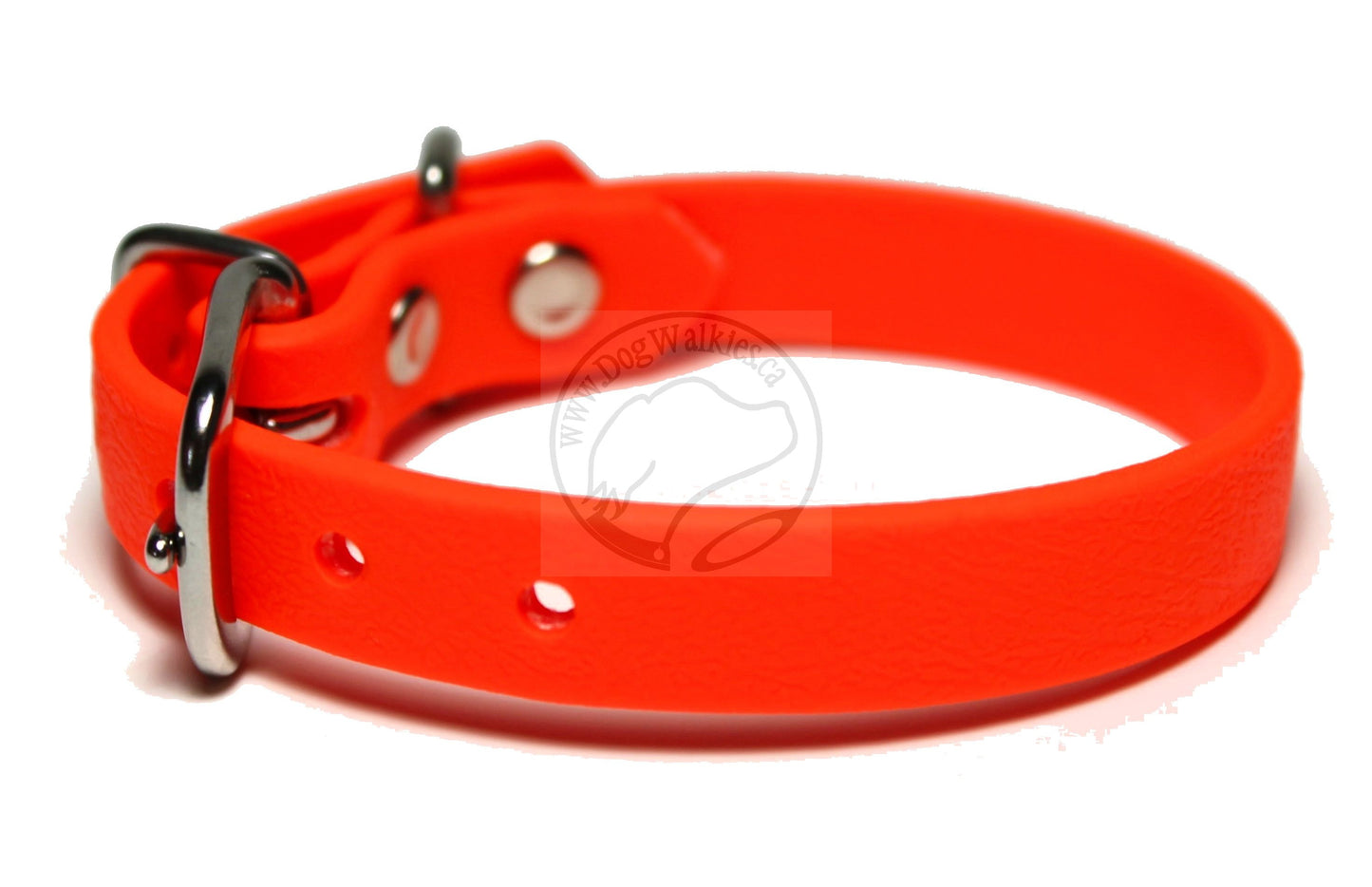 Neon Blaze Orange Biothane Small Dog Collar - 1/2" (12mm) wide