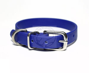 Royal Blue Biothane Small Dog Collar - 1/2" (12mm) wide