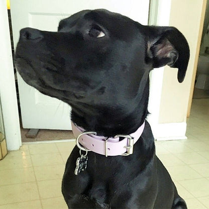 Lavender Purple Biothane Dog Collar - 1 inch (25mm) wide