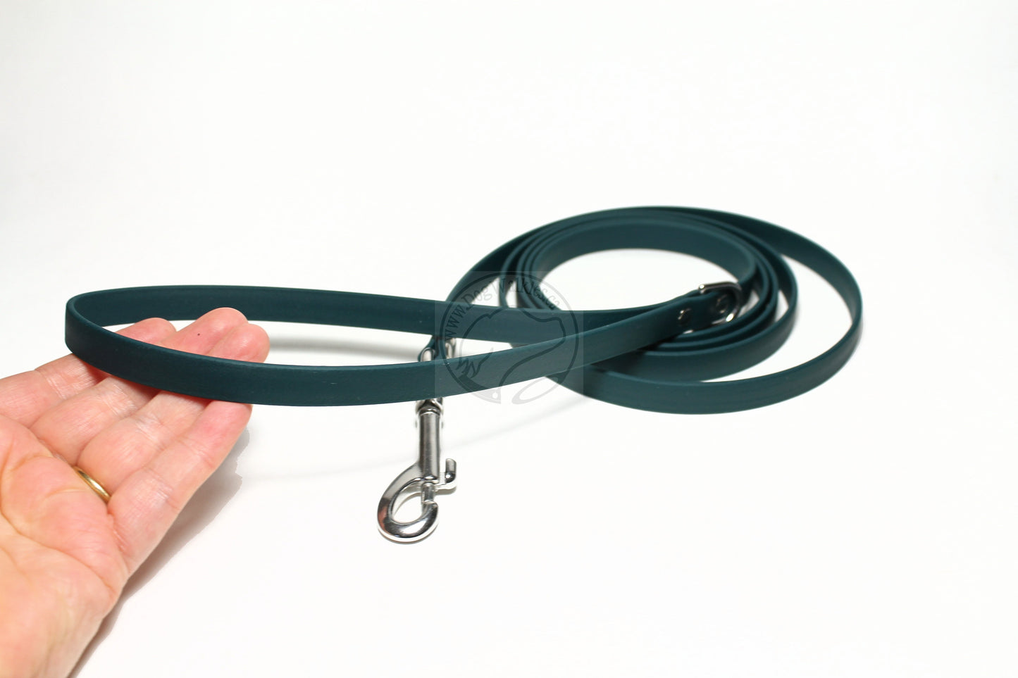 Pine Green Biothane Small Dog Leash