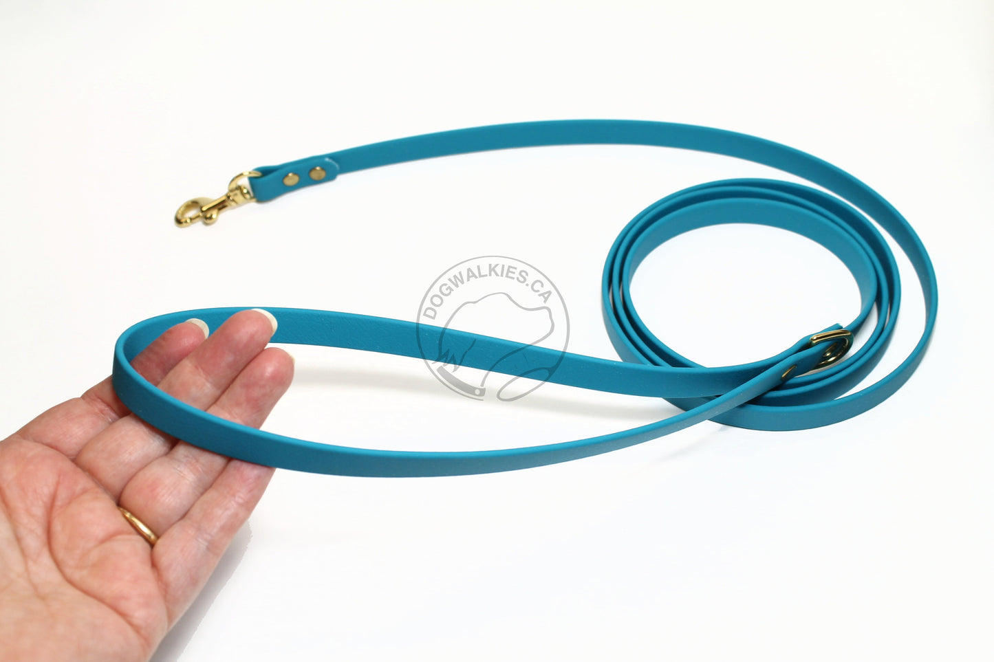 Oasis Blue Biothane Small Dog Leash