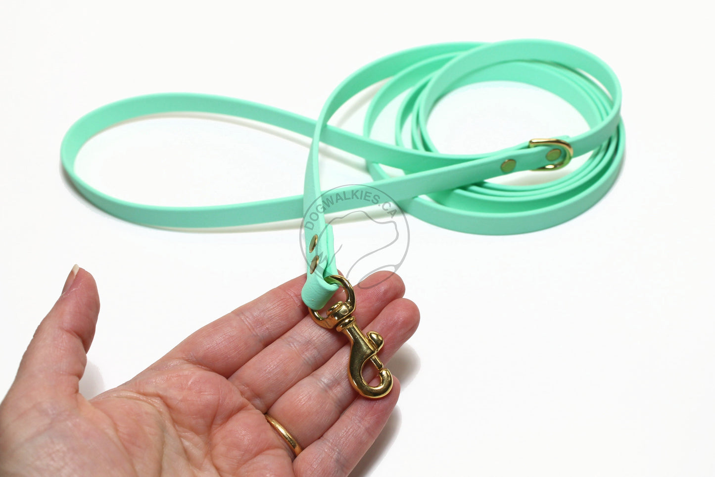 Sea Foam Pastel Green Biothane Small Dog Leash