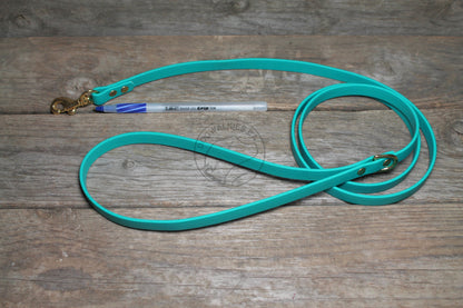 Teal Biothane Small Dog Leash