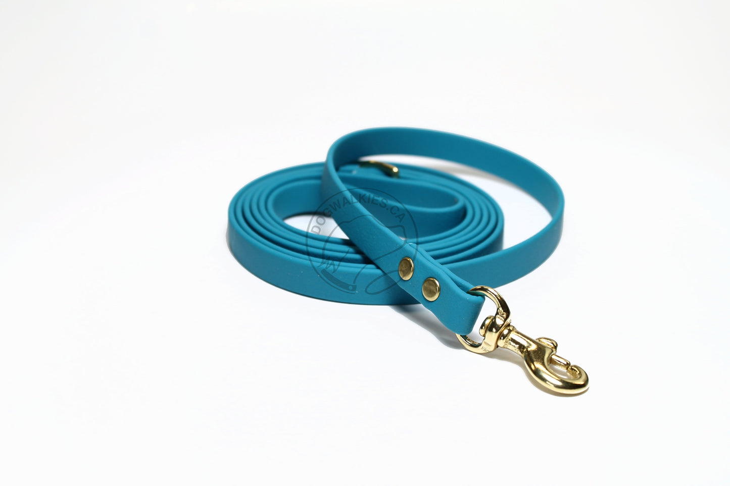 Oasis Blue Biothane Small Dog Leash