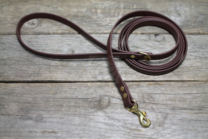 Dark Chocolate Brown Biothane Small Dog Leash