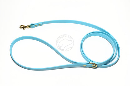Frozen Blue Biothane Small Dog Leash