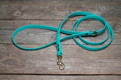 Teal Biothane Small Dog Leash