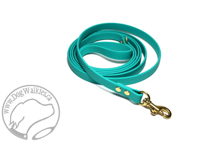 Teal Biothane Small Dog Leash