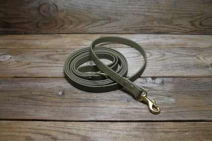 Olive Green Biothane Small Dog Leash